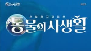 은밀하고 위대한 동물의 사생활 — foto 1