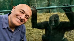 Episodio 2