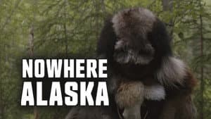 Nowhere Alaska — foto 1