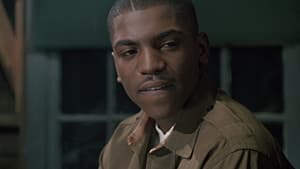 Los Aviadores De Tuskegee — foto 5