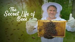 The Secret Life of Bees — foto 1