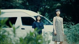 おやすみ、また向こう岸で — foto 1
