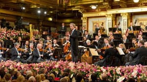 Neujahrskonzert der Wiener Philharmoniker 2013 — foto 1