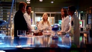 Los Caídos