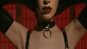 The Pleasure in Pain — foto 1