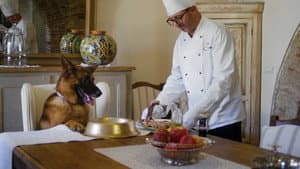 Gunther, el perro millonario — foto 5