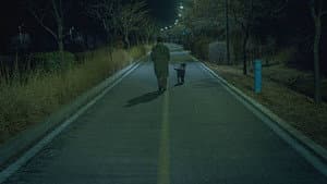 서바이벌 택틱스 — foto 2