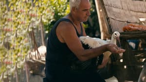 Приказната за Силјан — foto 8