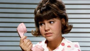 Gidget — foto 2