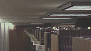 The Cowboy and the LIbrary in the Wake of Stressful Events — foto 1