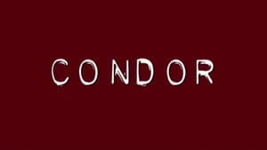 Condor — foto 1