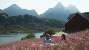 Søvnløs i Lofoten — foto 3