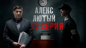 Episodio 12