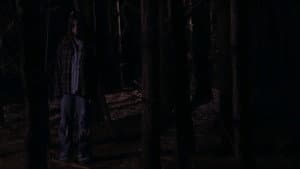 The Haunting of Hickcox Woods — foto 2