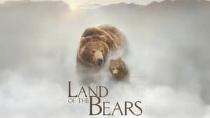 Terre des ours — foto 4