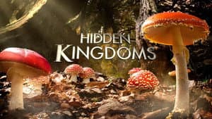 Hidden Kingdoms — foto 1