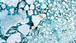 The Last Ice — foto 5