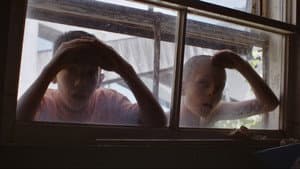 Fauve — foto 6