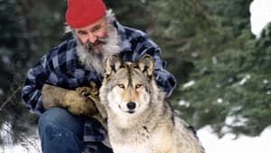 Il parle avec les loups — foto 1