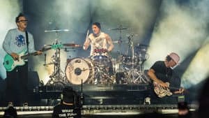 blink-182: Live at Lollapalooza — foto 4