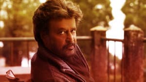 Petta — foto 7