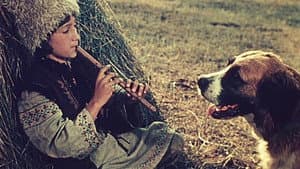 Андриеш — foto 4