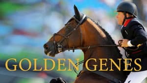 Gouden Genen: Het geheim van Nederlandse springpaarden — foto 1