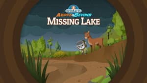 Episodio 14