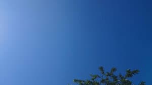 A Pílula Azul — foto 2