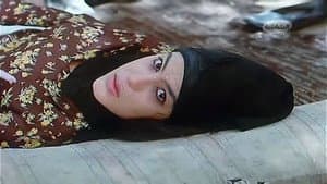 الطوق والإسورة — foto 1