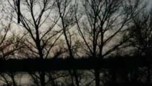 One Dream — foto 1