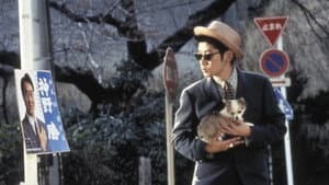 遙かな時代の階段を — foto 2