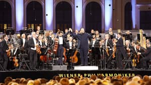 Sommernachtskonzert 2022 — foto 1
