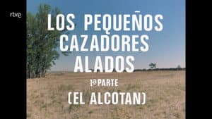 Episodio 67
