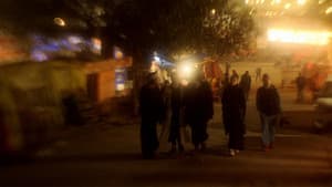 Жар-птица — foto 1