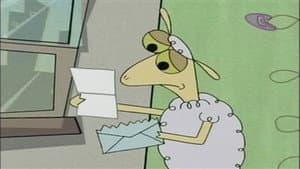 No puedo vivir sin Sheep