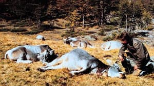 Jägerschlacht — foto 2