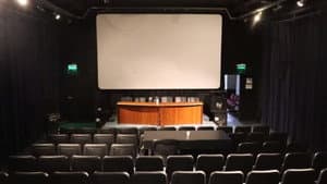El color del cine — foto 1