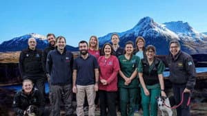 The Highland Vet — foto 1