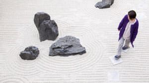 波紋 — foto 1