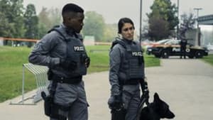 Episodio 7