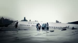 Miracle Landing on the Hudson — foto 1
