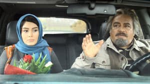 آنچه مردان درباره زنان نمی‌دانند — foto 1