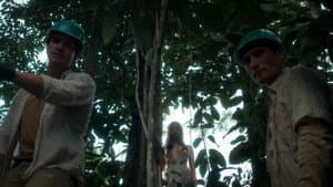 Virgin Forest — foto 7