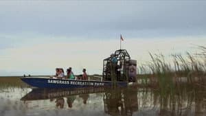 Lake Fear 2: The Swamp — foto 1
