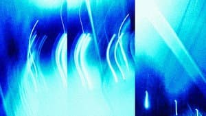 Imágenes en Movimiento sin Destino — foto 3