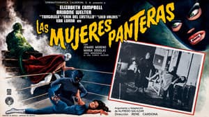 Las mujeres panteras — foto 4