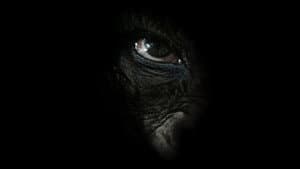 Rise of the Warrior Apes — foto 1