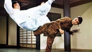 合氣道 — foto 2