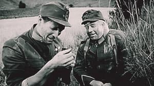 Der brave Soldat Schwejk — foto 2